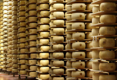Датские ученые создали закваску, ускоряющую созревание сыра в два раза