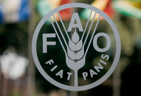 Члены Совета ФАО призывают США и ЕС к немедленному снятию санкций с продовольствия и удобрений