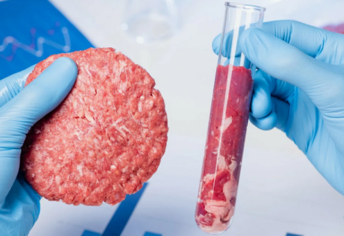 Министры сельского хозяйства ЕС разошлись во мнениях по поводу одобрения лабораторного мяса