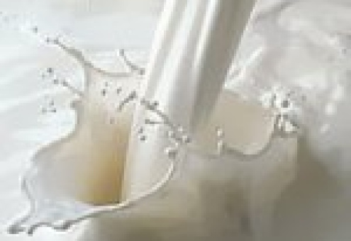 Производство молока сорта "экстра"
