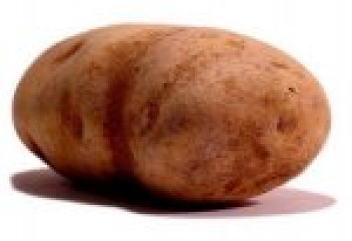 РБ: недостаток картофелехранилищ