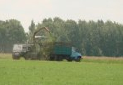 Темпы заготовки кормов в Гомельской области выросли
