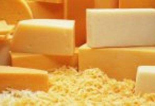 Сыр "Голландский Био" - уникальный для белорусского рынка продукт