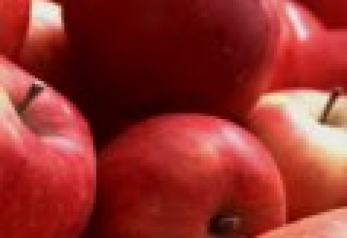 Голландия наращивает экспорт яблок в Россию