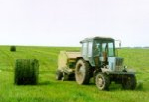 В Беларуси осталось заготовить менее 10% сенажа