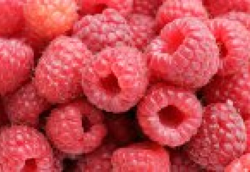 В Беларуси увеличены закупочные цены на плодово-ягодную продукцию