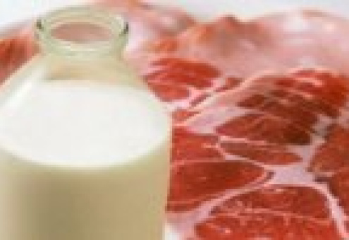 Мясо и молочные продукты опять дорожают