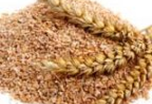 Качество зерна в Беларуси в нынешнем году высокое