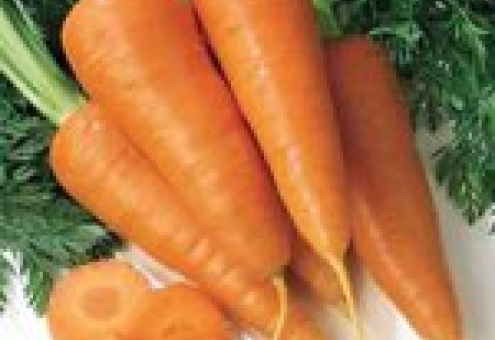 РФ заинтересована в белорусском картофеле, моркови и луке