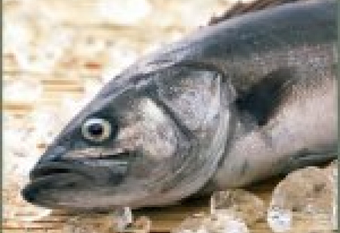 Импорт российской рыбопродукции в страны ЕС по-прежнему запрещен