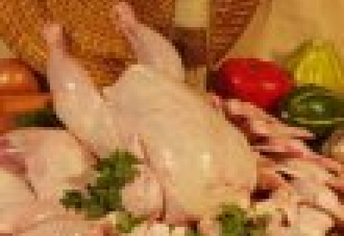 РФ: в 2010 г. ожидается рост рынка куриного мяса
