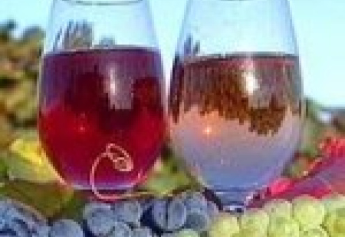 Белорусы стали лидерами по потреблению молдавских вин