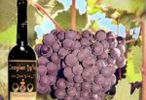Грузия: виноград урожая 2010 года называют некачественным