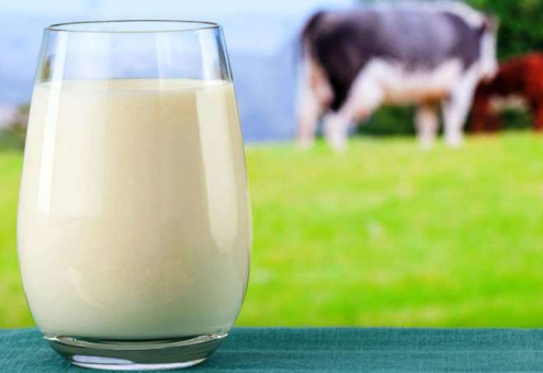 Производство сырого молока в Китае достигнет 36 млн тонн в 2022 году