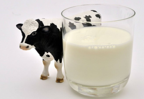 Накануне Нового года аграрии Брестской области установили важные рекорды в молочной отрасли