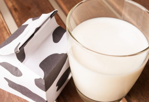 Rabobank снизил прогноз производства молока в мире