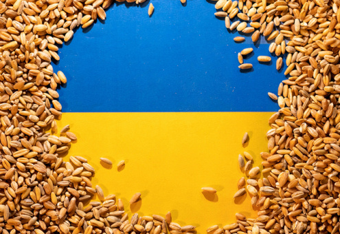 В Польше заявили, что АПК Украины угрожает всему сельскому хозяйству Европы