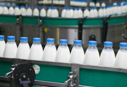 Уровень самообеспечения Беларуси молочными продуктами достиг 267 %
