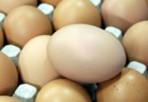 Берестовицкая птицефабрика увеличила производство яиц