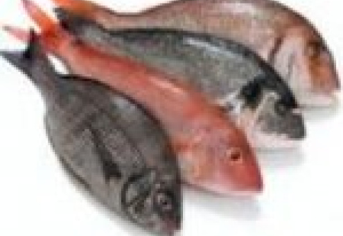 Мировое производство рыбы растет за счет аквакультуры