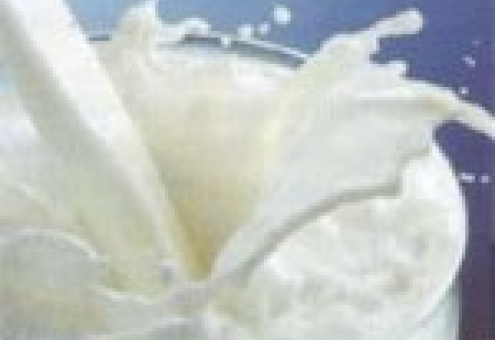Эквадор ищет рынки сбыта молочной продукции