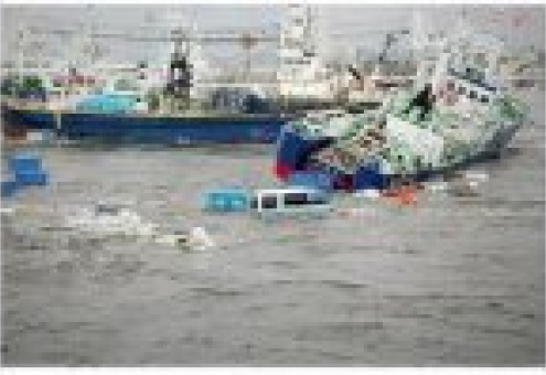 Последствия цунами продолжают сказываться на состоянии рыбной отрасли Японии