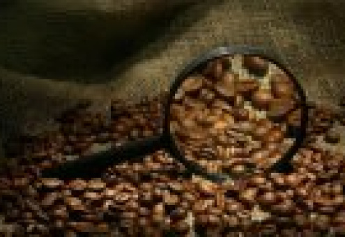 Бразилия: Цены на кофе растут благодаря высокому спросу
