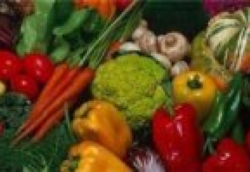 В Россию запрещен ввоз всех овощей из Евросоюза