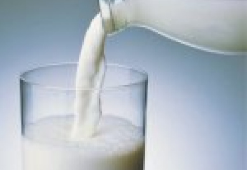 В 2012 году Россия нарастит производство молока на 1,5%