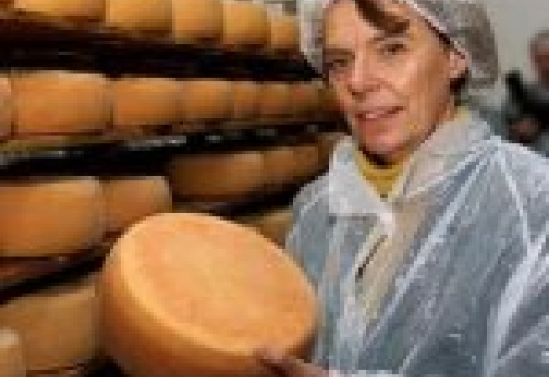 Немецкие компании предполагают, почему Россия запретила их сыр