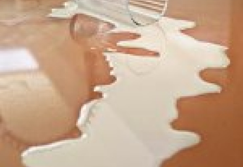 Европейская "молочная забастовка" приостановлена до 5 октября
