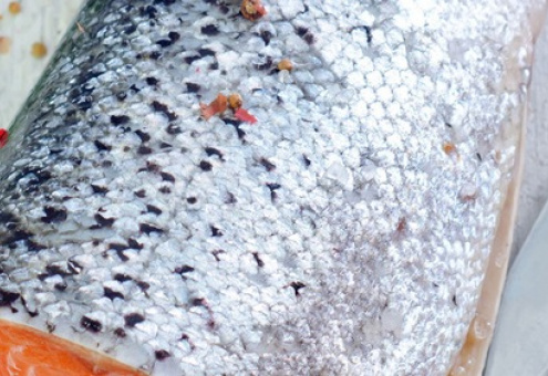 6 тонкостей покупки свежего лосося