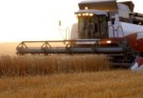 Минэкономики: сельхозпроизводство меньше всего пострадало от кризиса