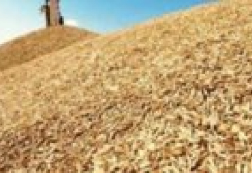 Экспорт украинского зерна удвоится