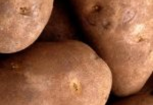 Закладка картофеля и овощей в стабилизационные фонды Беларуси ведется в нормальном режиме - Минторг