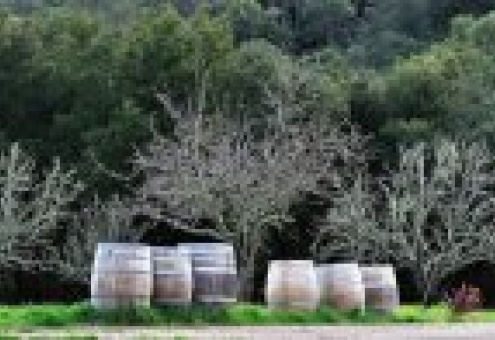 Деревянная тара незаменима в процессе изготовления высококачественного вина