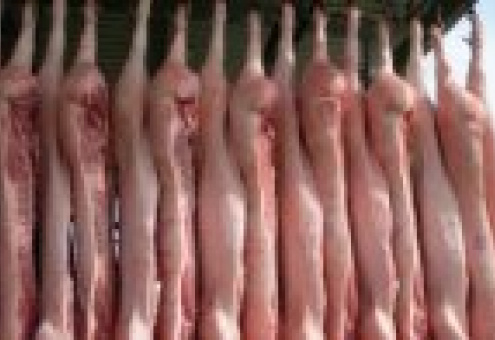 Производство свинины в мире выросло на 2,8%