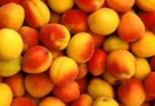 На мировых рынках растет спрос на южноафриканские косточковые фрукты