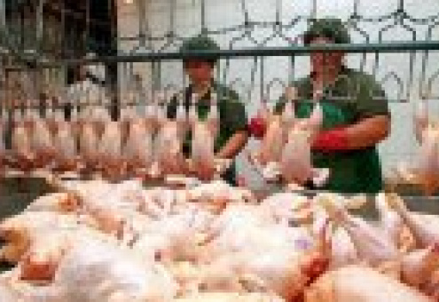 Украина: рынок мяса птицы показал негативную динамику