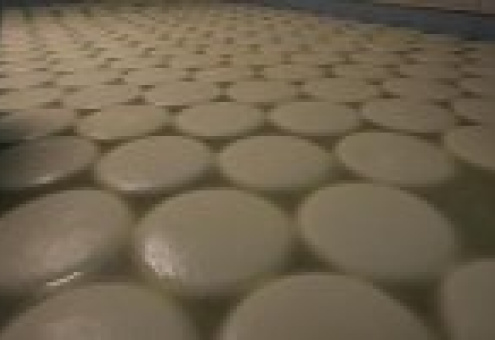 Туровский молочный комбинат приступит к производству сыра в конце 2012 года