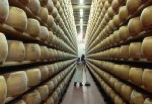 Семи украинским заводам запрещены поставки сыра в РФ
