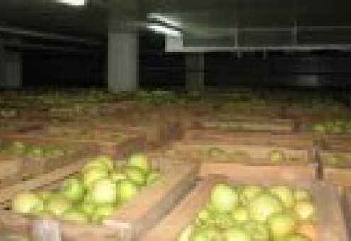 В Мядельском районе построено новое фруктохранилище