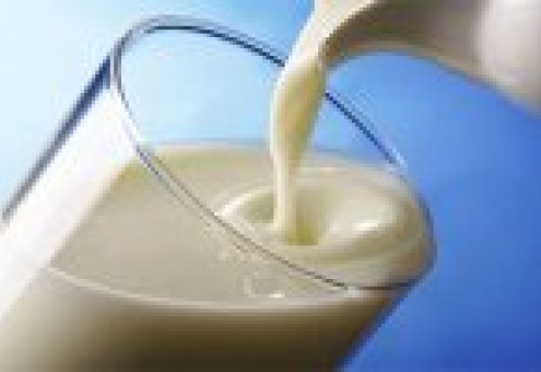Объем российского рынка питьевого молока в 2011 году вырос на 3,0%