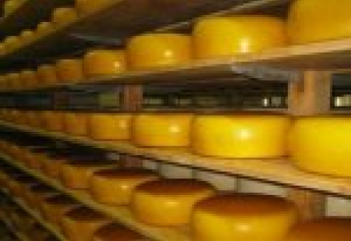 Роспотребнадзор придрался к размерам украинского сыра