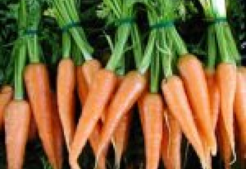 Израиль прекратил экспорт моркови в Россию