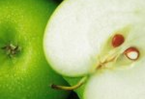Экспорт польских яблок на мировые рынки в 2011 году сократился