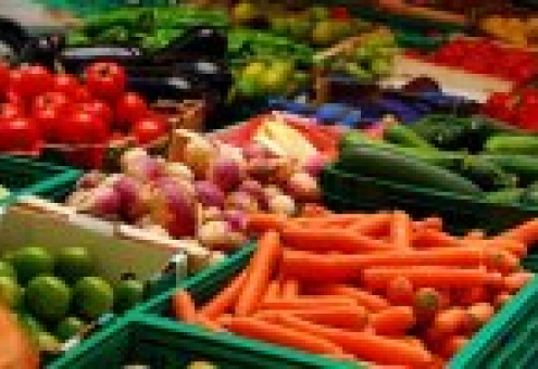 В марте агрокомбинат «Ждановичи» поставил в торговые сети 847 т овощей