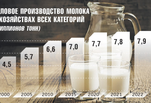 Производство молока в Беларуси в 2000-2022 гг.: инфографика
