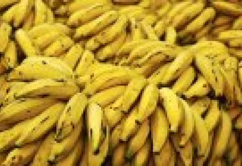 Эквадор: Экспорт бананов сокращается