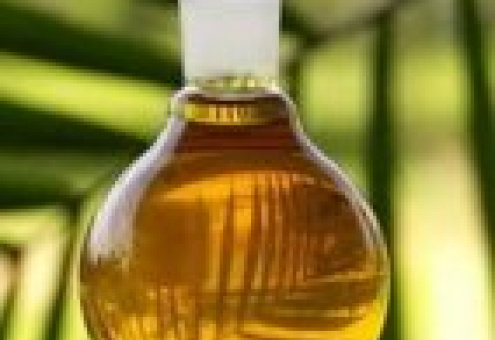 Мир столкнется с недостатком пальмового масла в 2012 году